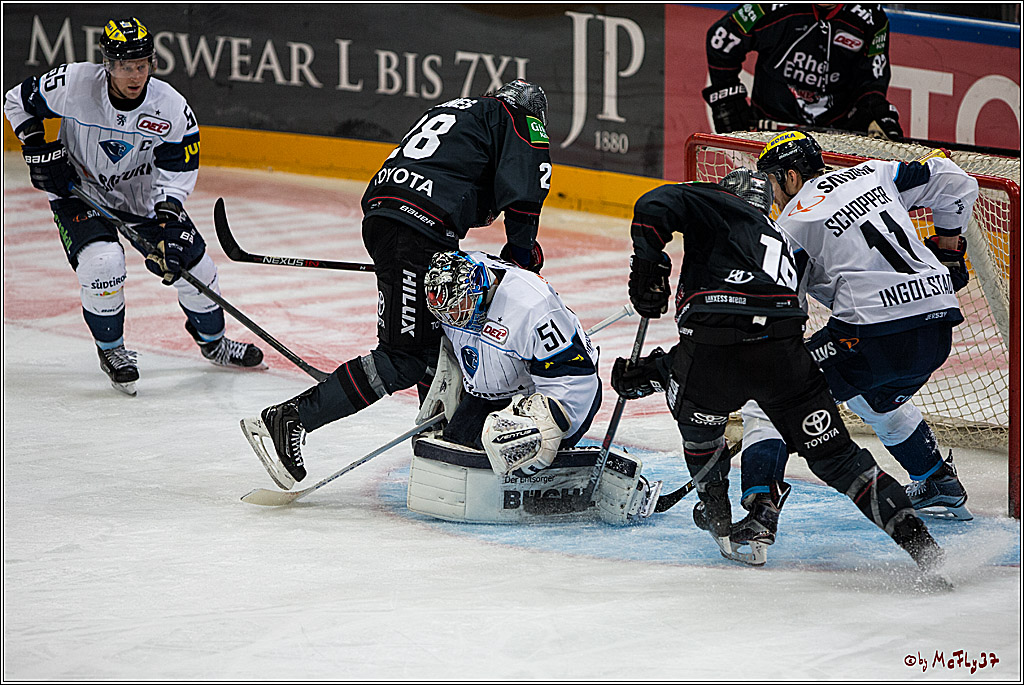 Koelner Haie - ERC Ingolstadt, 23.10.2016